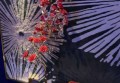 杭州哪家夜总会ktv招聘商务礼仪,00后做夜场的多吗_