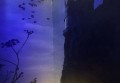儿童带货招聘文案（童趣引领·儿童商品推广团队招募启事）
