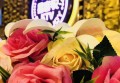 巴西男模文案有趣招聘（巴西魅力男模招募：创意文案引你加入）